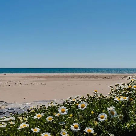 Pavillon 3 Pièces à Narbonne-plage, Grande Terrasse, Parking, Wifi, 4 Pers, à Proximité - Fr-1-409-96 *
