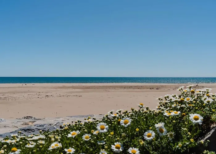 Pavillon 3 Pieces A Narbonne-plage, Grande Terrasse, Parking, Wifi, 4 Pers, A Proximite - Fr-1-409-96 *
